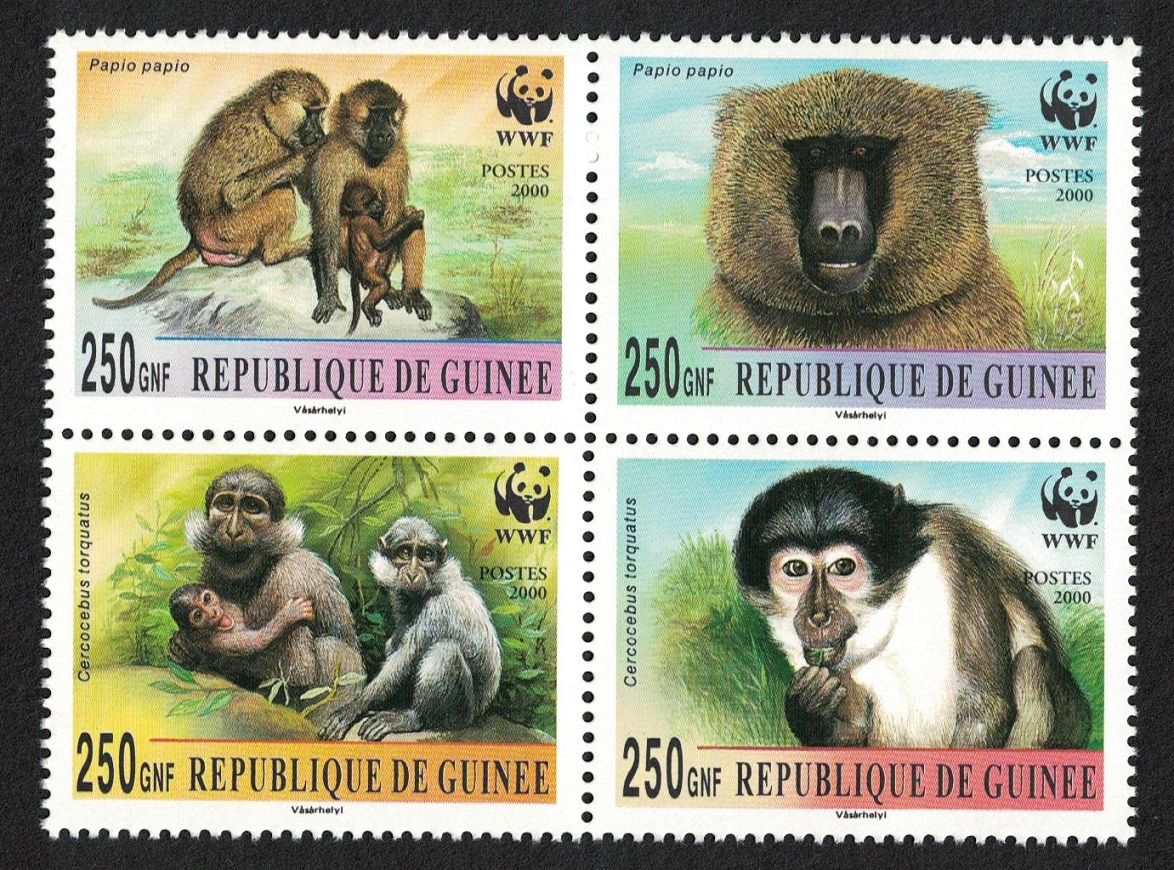 Guinea WWF Mangabey and Baboon 4v Corner block 2*2 2000 MNH