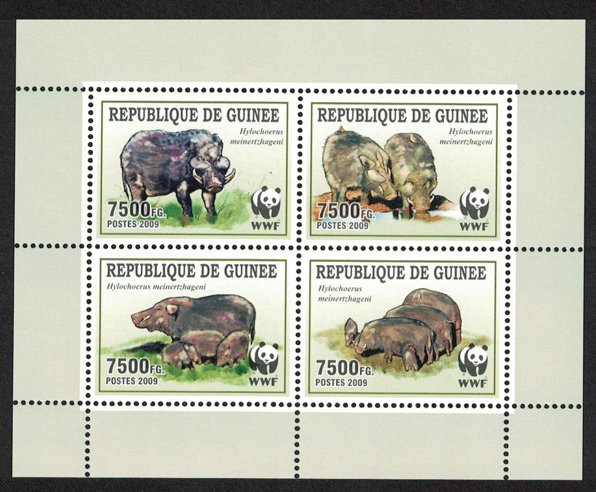 Guinea WWF Giant Forest Hog block of 4 2009 MNH MI#6714-6717