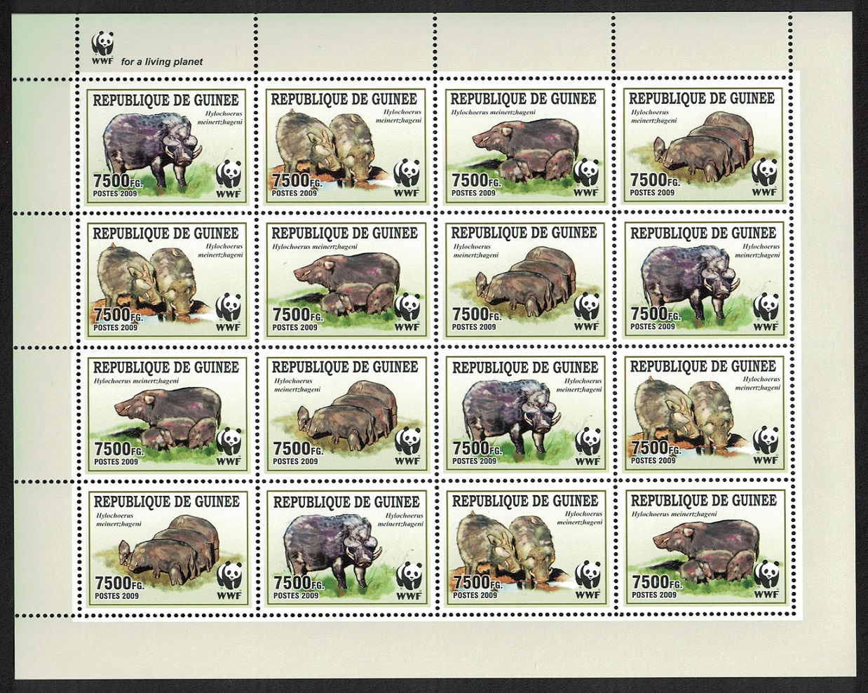 Guinea WWF Giant Forest Hog Sheetlet of 4 sets 2009 MNH MI#6714-6717