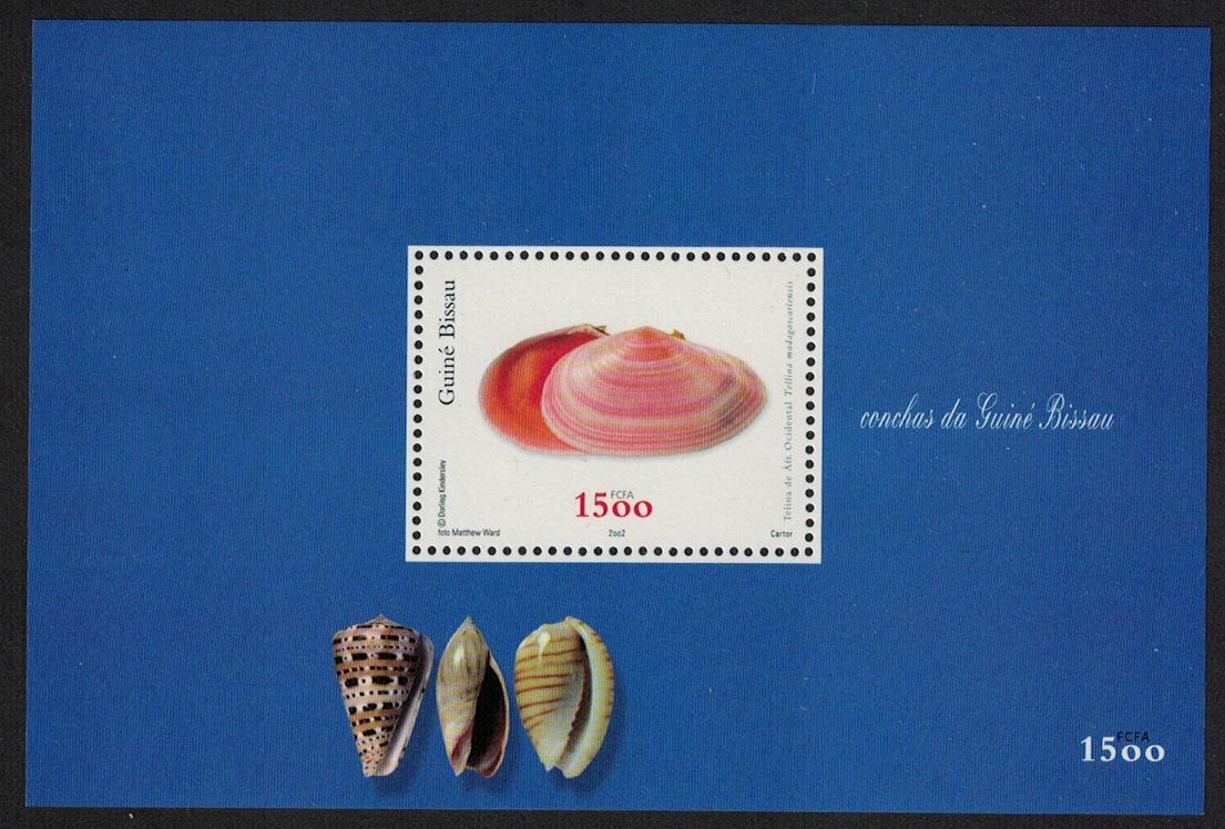 Guinea-Bissau Shell &#39;Tellina madagascariensis&#39; MS 2002 MNH SG#MS1368