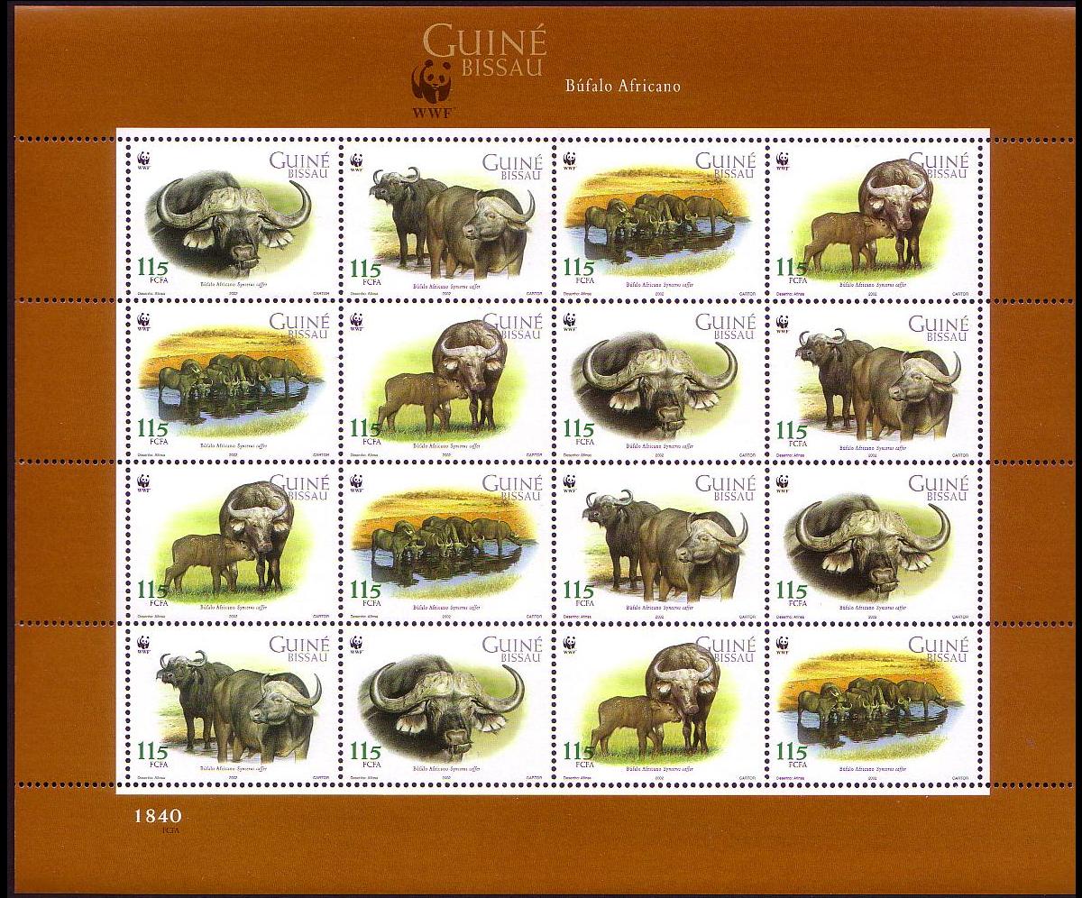 Guinea-Bissau WWF African Buffalo Sheetlet of 4 sets 2002 MNH SG#1351-1354 MI#2009-2012