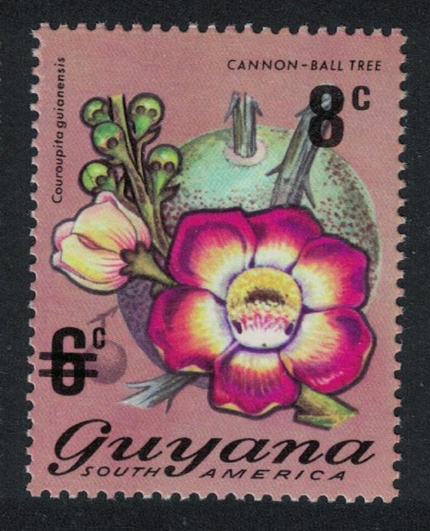 Guyana Cannon-ball Tree Flowers No 546 surch 8c 1974 MNH SG#601