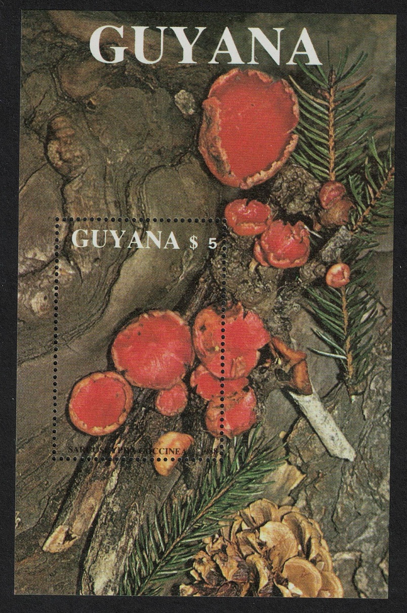 Guyana Fungi Mushrooms &#39;Sarcoscypha coccinea&#39; MS 1989 MNH MI#Block 37 Sc#2011