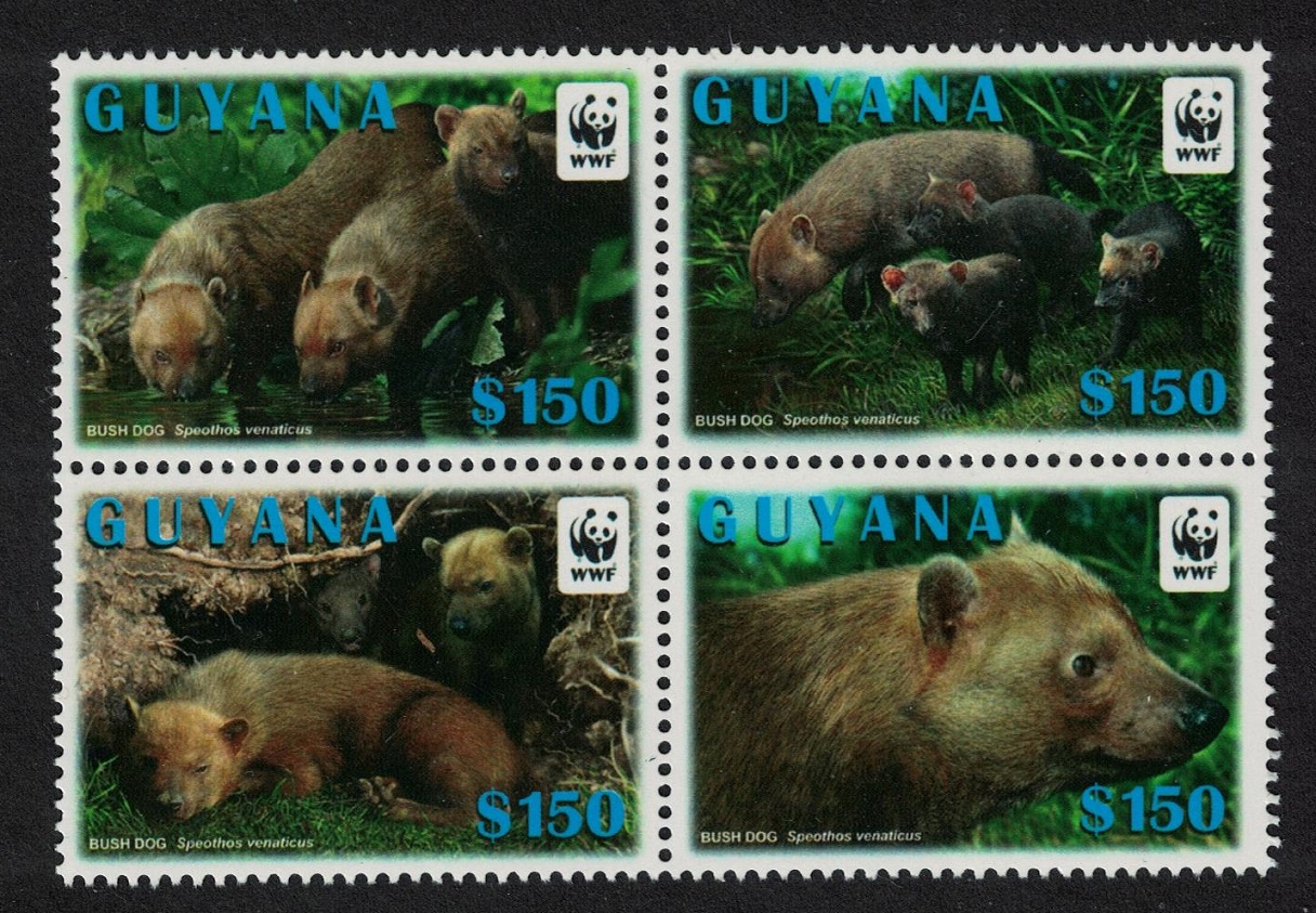 Guyana WWF Bush Dog Block of 4v 2011 MNH SG#6752-6755