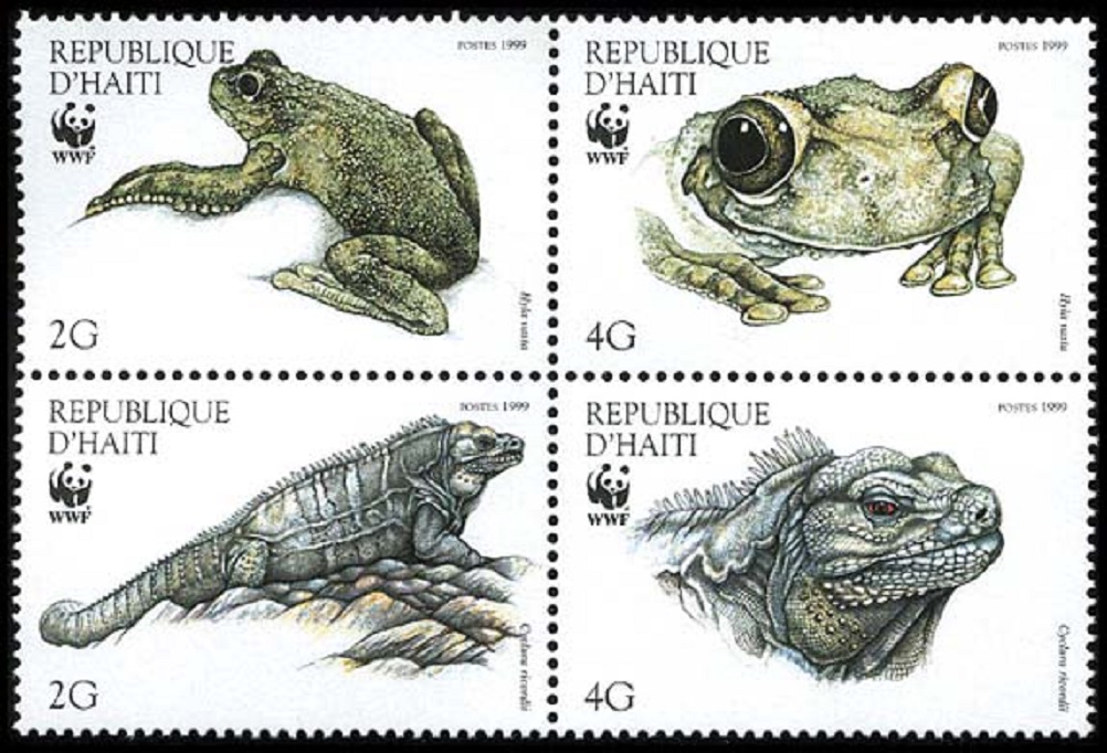 Haiti WWF Ground Iguana and Giant Tree-frog 4v Block of 4 1999 MNH SG#1636-1639 MI#1588-1591 Sc#913 a-d