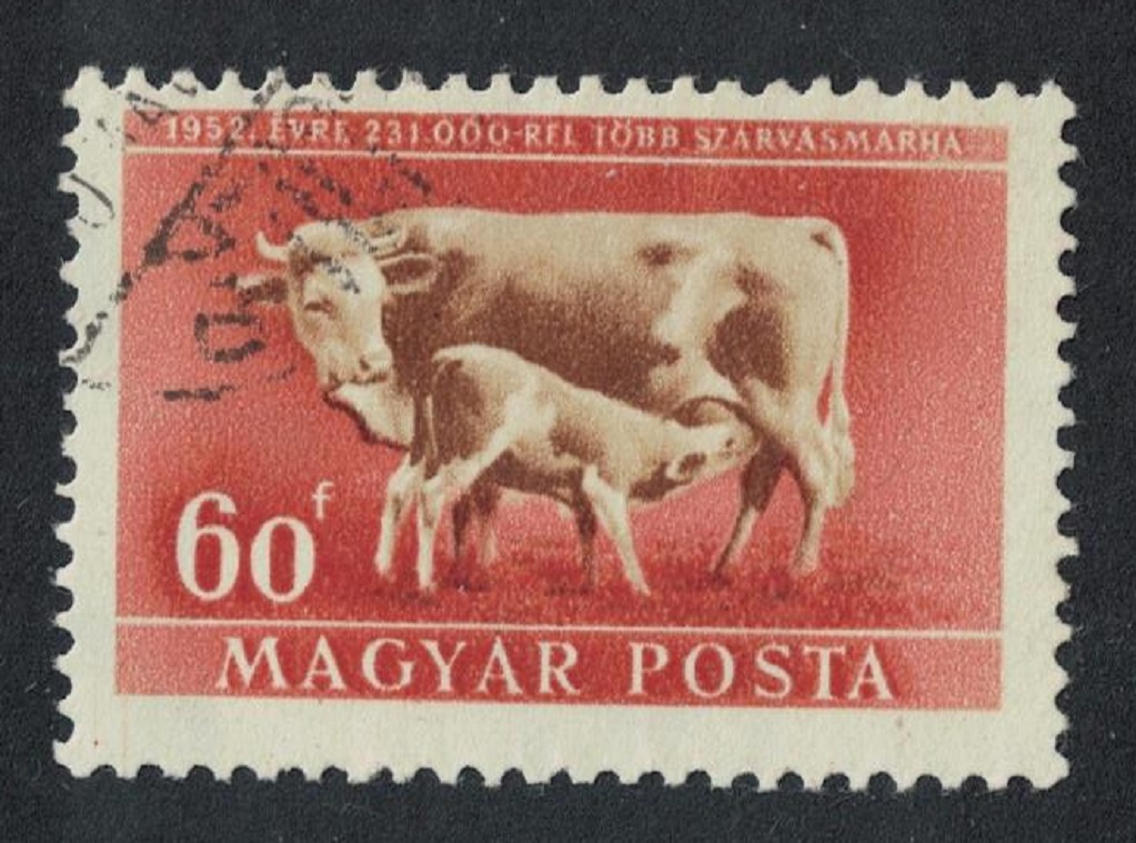 Hungary Cattle Livestock Expansion Plan 1951 Canc SG#1166