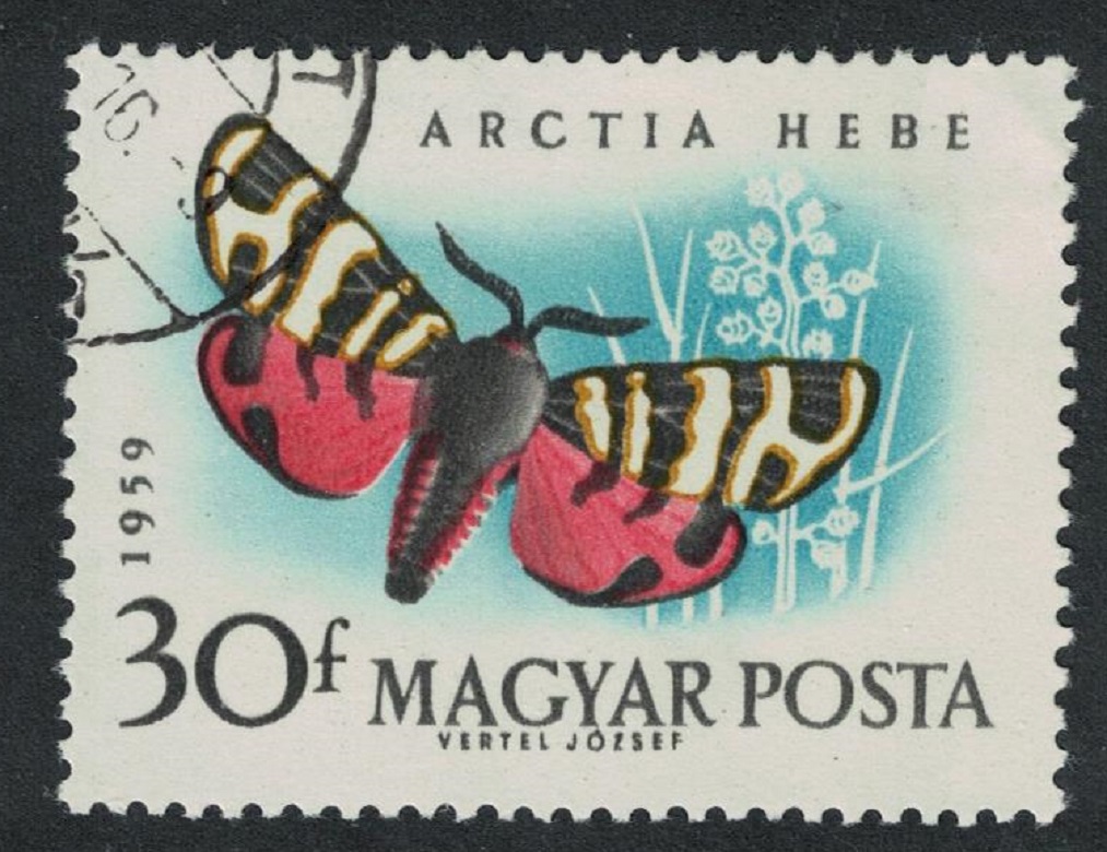 Hungary Hebe tiger moth 30fi 1959 Canc SG#1613