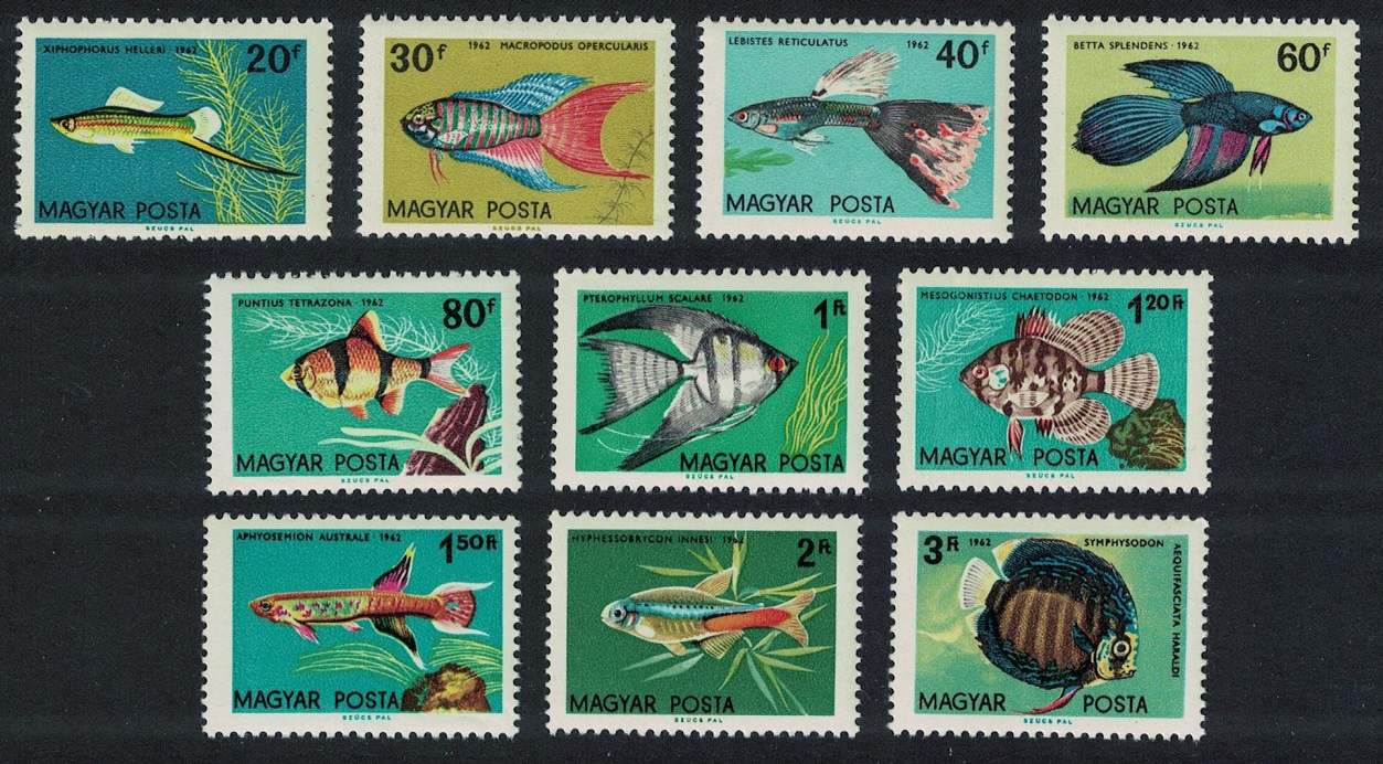 Hungary Aquarium Ornamental Fishes 10v 1962 MNH SG#1796-1805