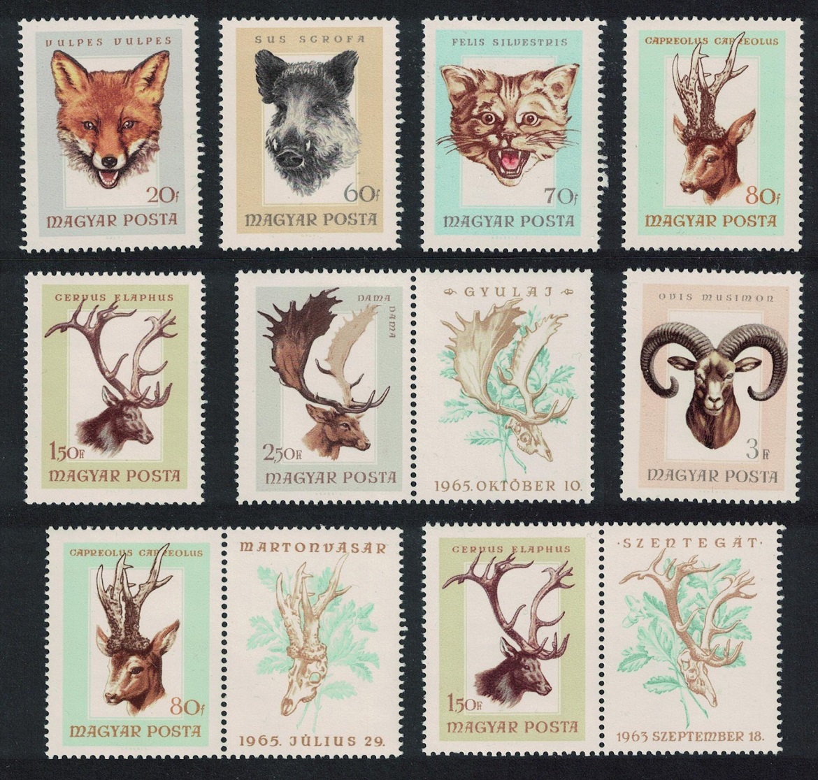 Hungary Fox Boar Deer Hunting Trophies 6v+3 Labels 1966 MNH SG#2205-2211 Sc#1446-1450