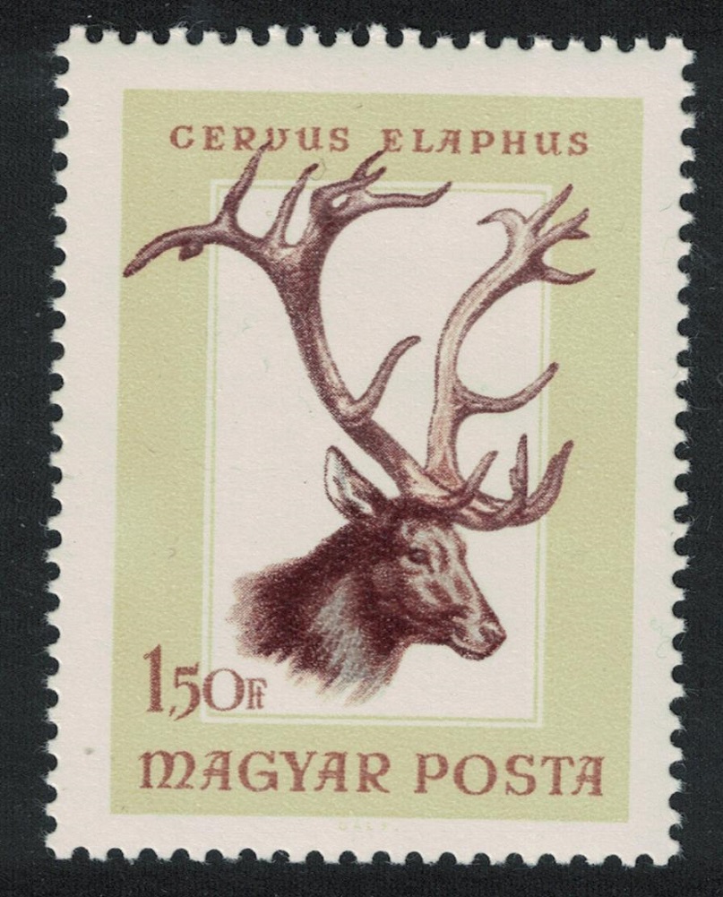 Hungary Red deer Hunting Trophies 1Ft50 1966 MNH SG#2209 MI#2259A