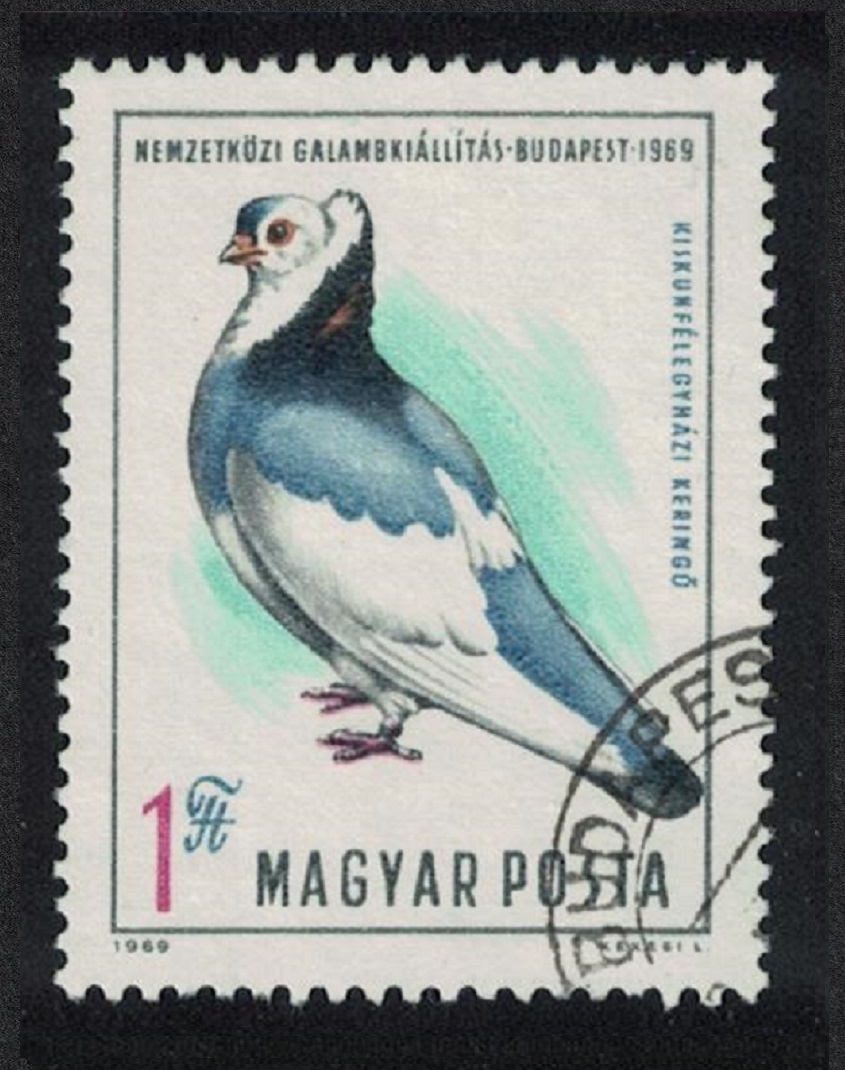 Hungary Birds Pigeon International Exhibition 1969 Canc SG#2503 Sc#2016