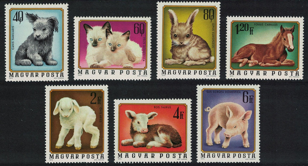 Hungary Puppy Kitten Foal Lamb Piglet Calf 7v 1974 MNH SG#2928-2934 MI#3007-3013A