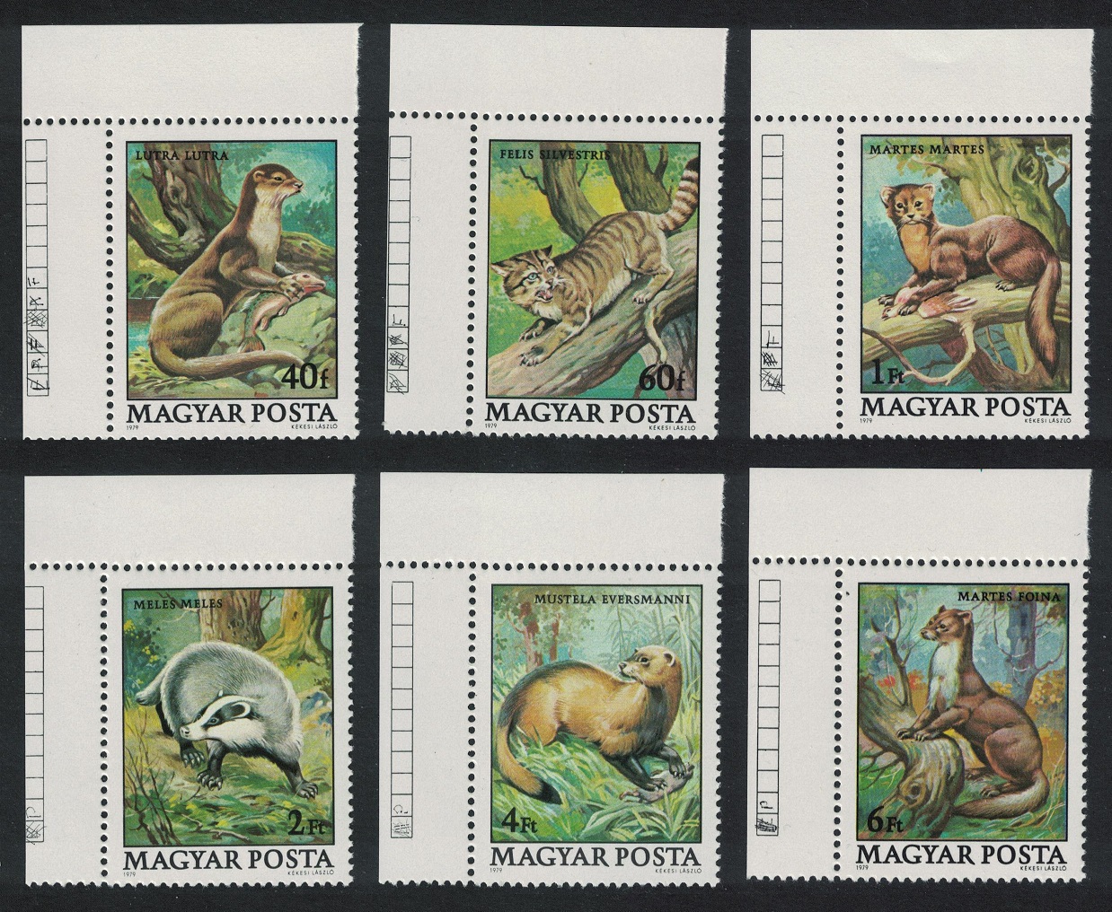 Hungary Protected Animals 6v Corners 1979 MNH SG#3274-3279 MI#3384-3389