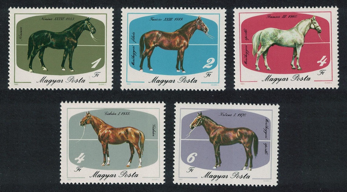 Hungary Horses Horse breeding at Mezohegyes 5v 1985 MNH SG#3641-3645