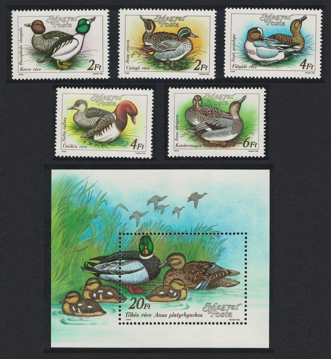 Hungary Birds Wild Ducks 5v+MS 1988 MNH SG#3851-MS3856 MI#3972-3976A+Block 199A