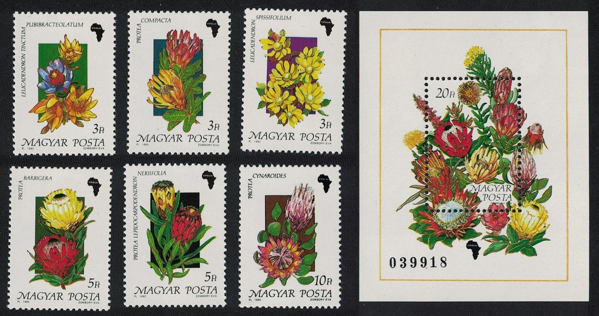 Hungary African Flowers 6v+MS 1990 MNH SG#3966-MS3972