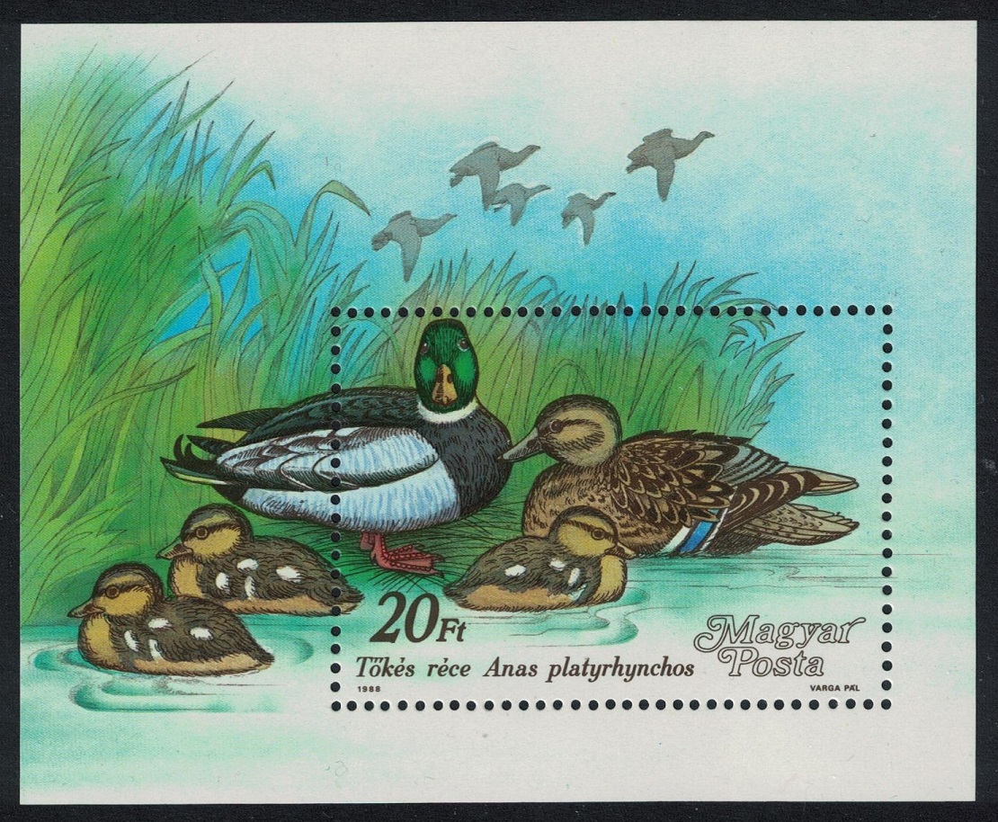 Hungary Birds Wild Ducks MS 1988 MNH SG#MS3856 MI#Block 199A