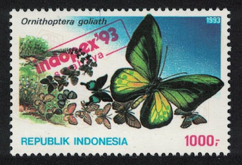 Indonesia Goliath birdwing Butterfly &#39;Ornithoptera goliath&#39; 1993 MNH SG#2082