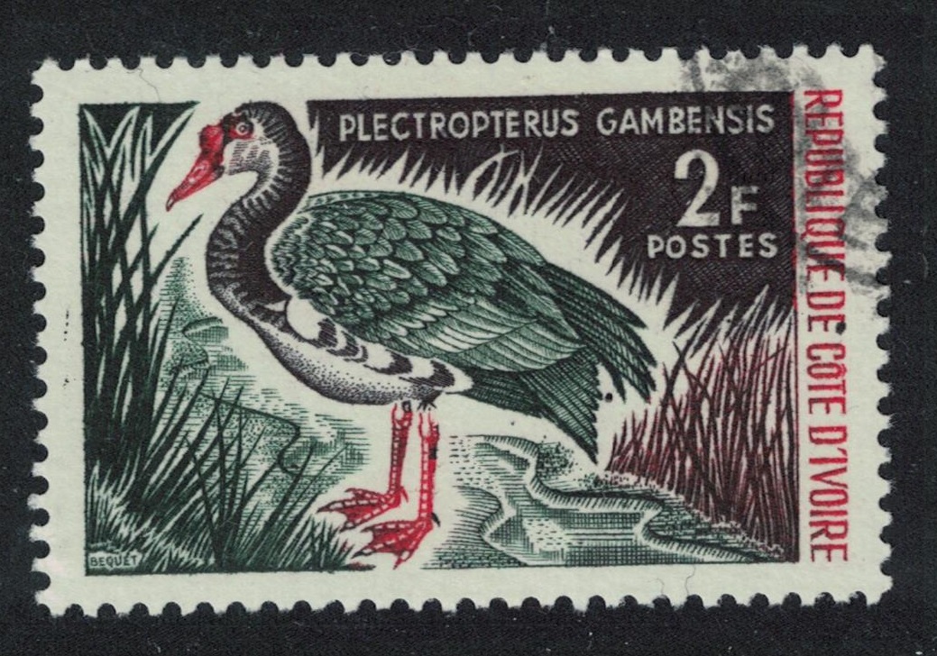 Ivory Coast Spur-winged goose Bird 2f 1966 Canc SG#262 MI#300 Sc#232