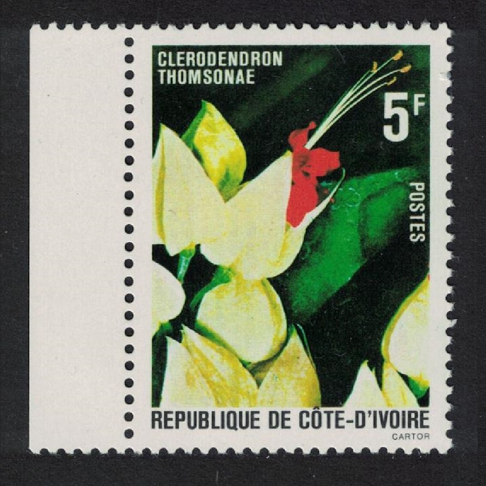 Ivory Coast Flower &#39;Clerodendron thomsonae&#39; Margin 1980 MNH SG#622