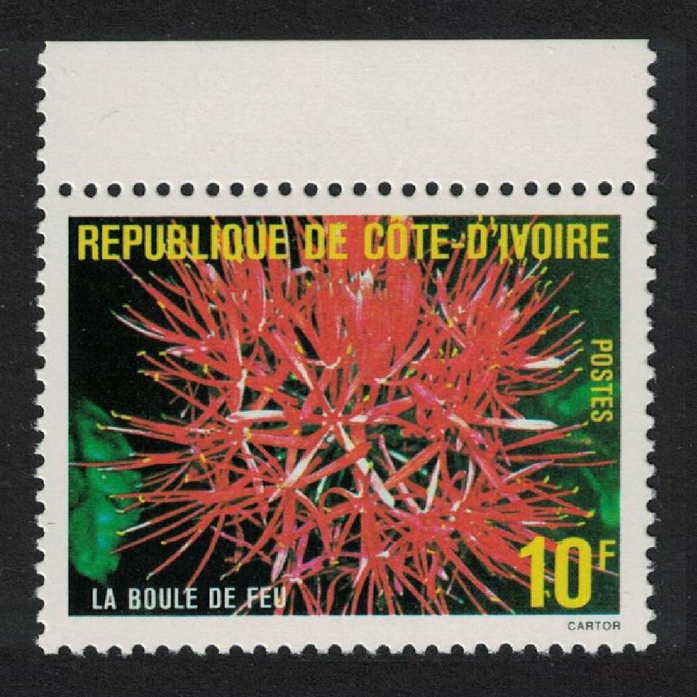 Ivory Coast Flower &#39;La Boule de Feu&#39; Margin 1980 MNH SG#623