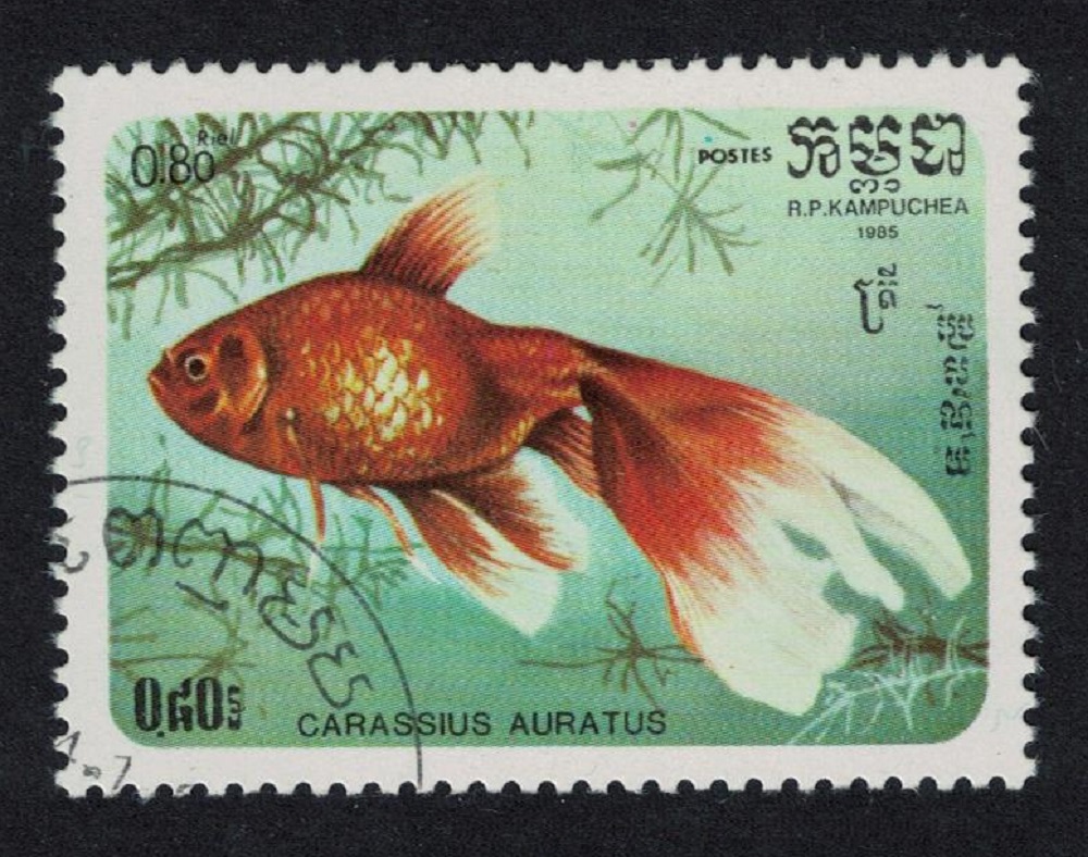 Kampuchea Veil-tailed goldfish Fish 1985 CTO SG#675