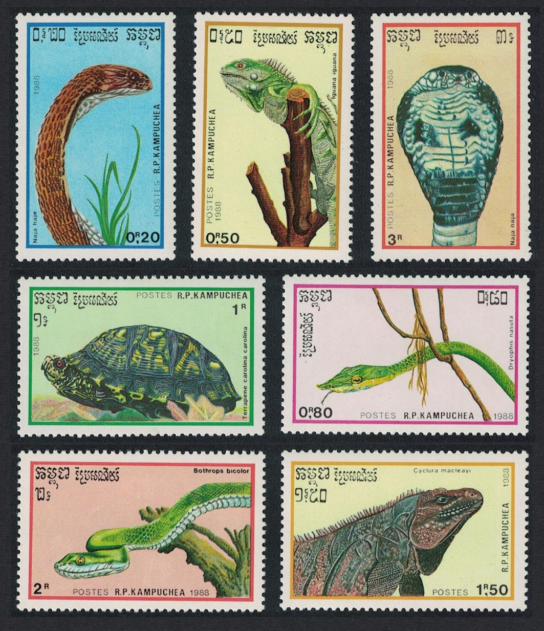 Kampuchea Turtle Snakes Cobra Iguana Reptiles 7v 1988 MNH SG#936-942