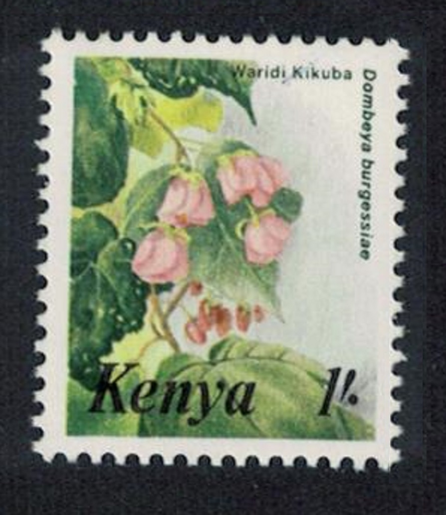 Kenya Waridi Kikuba Flower Orchid 1 Sh 1985 MNH SG#262b