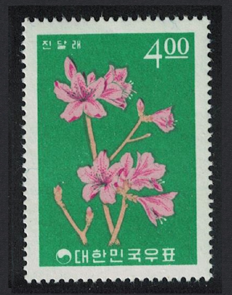 Korea Republic Rhododendron Azalea Korean Plants series 1965 MNH SG#574