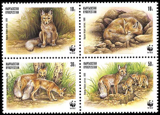 Kyrgyzstan WWF Corsac Fox 4v Block of 4 1999 MNH SG#167-170 MI#168-171 Sc#122 a-d