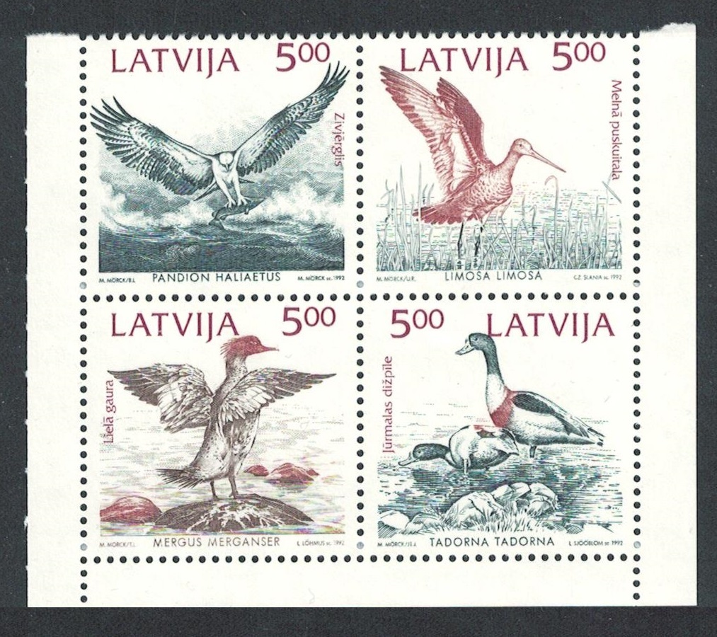 Latvia Osprey Godwit Shelducks Birds of the Baltic 1992 MNH SG#359-362