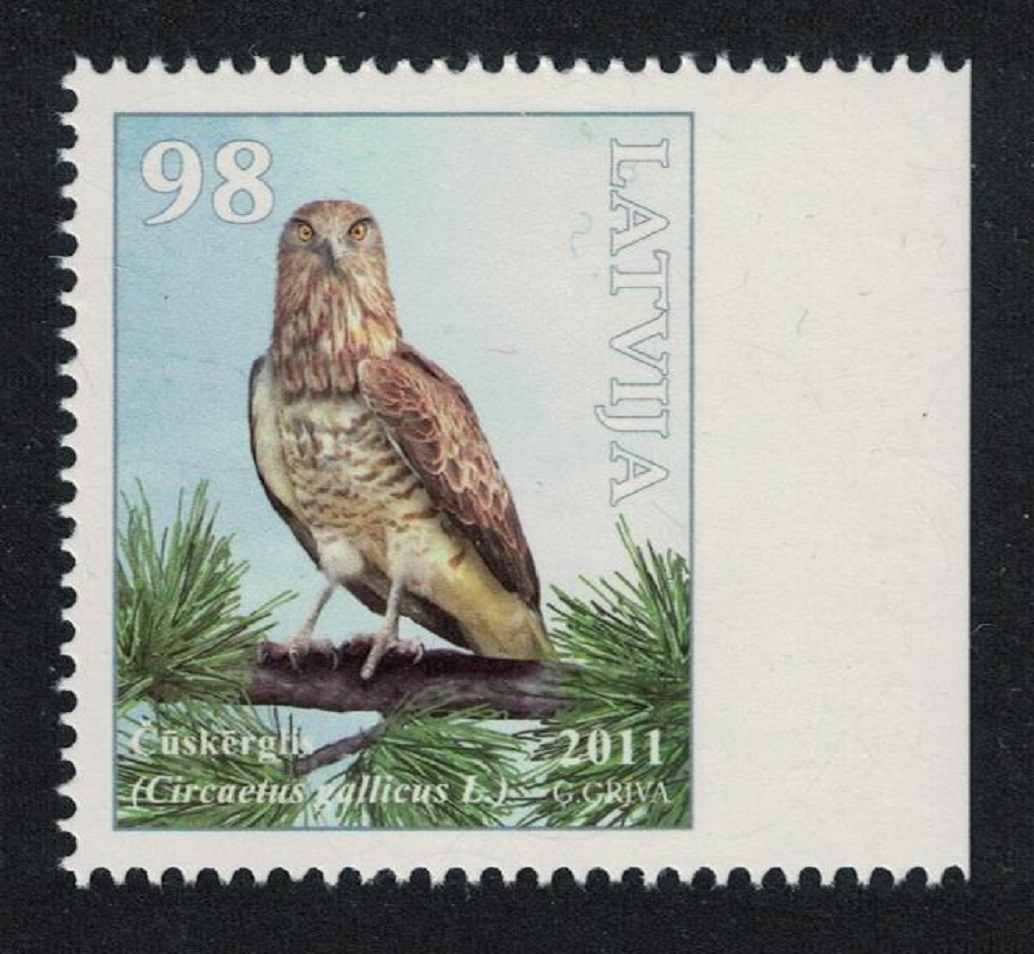 Latvia Short-toed Eagle &#39;Circaetus gallicus&#39; Booklet stamp 2011 MNH SG#810