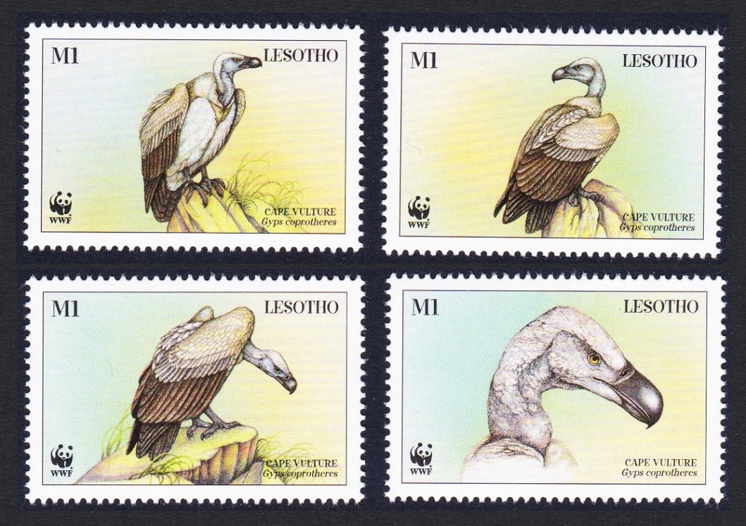 Lesotho WWF Cape Vulture Birds 4v 1998 MNH SG#1378-1381 MI#1276-1279 Sc#1091 a-d