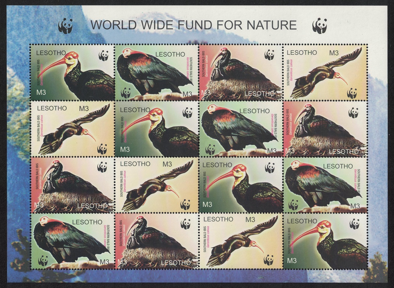 Lesotho WWF Southern Bald Ibis Birds Sheetlet of 4 sets 2004 MNH SG#1934-1937 MI#1895-1898 Sc#1336 a-d