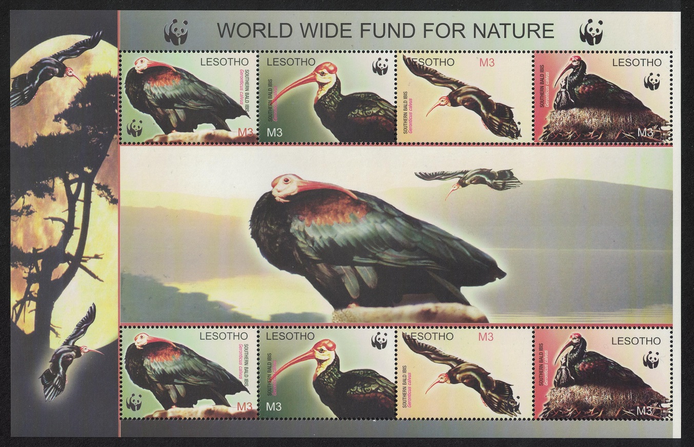 Lesotho WWF Southern Bald Ibis Birds MS 2004 MNH SG#MS1938 MI#1895-1898 Sc#1336 a-d