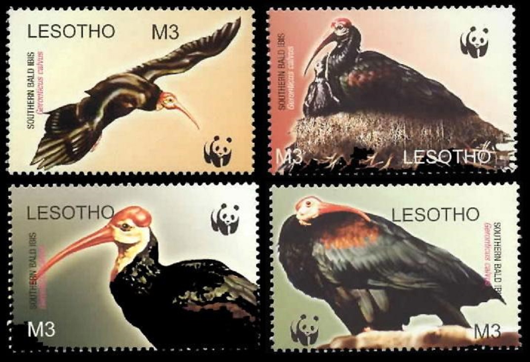 Lesotho WWF Southern Bald Ibis Birds 4v 2004 MNH SG#1934-1937 MI#1895-1898 Sc#1336 a-d