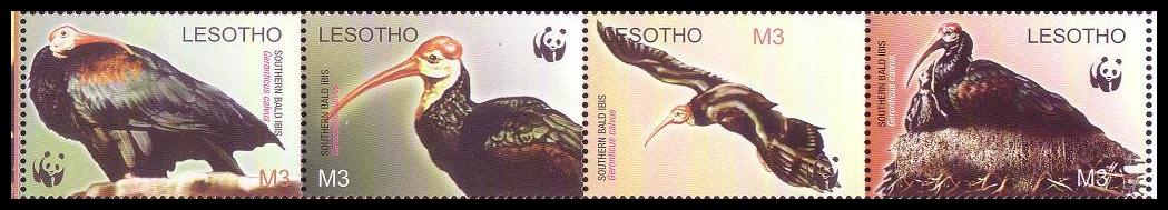 Lesotho WWF Southern Bald Ibis Birds Strip of 4v head left 2004 MNH SG#1934-1937 MI#1895-1898 Sc#1336 a-d