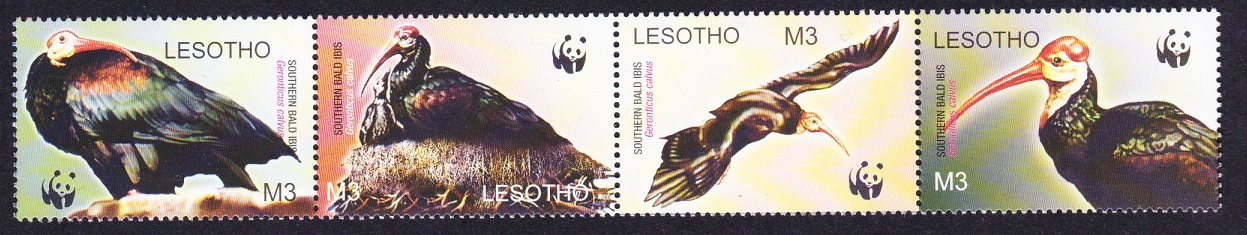 Lesotho WWF Southern Bald Ibis Birds Strip of 4v head right 2004 MNH SG#1934-1937 MI#1895-1898 Sc#1336 a-d