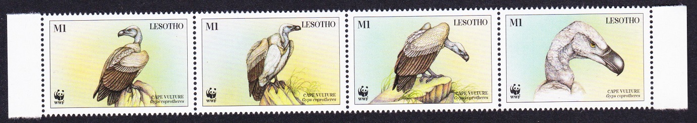 Lesotho WWF Cape Vulture Birds Strip of 4v 1998 MNH SG#1378-1381 MI#1276-1279 Sc#1091 a-d