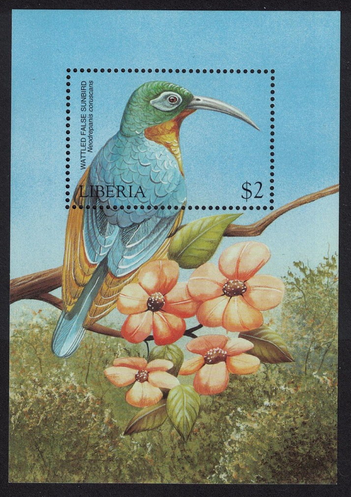 Liberia Wattled False Sunbird MS 1999 MNH Sc#1453