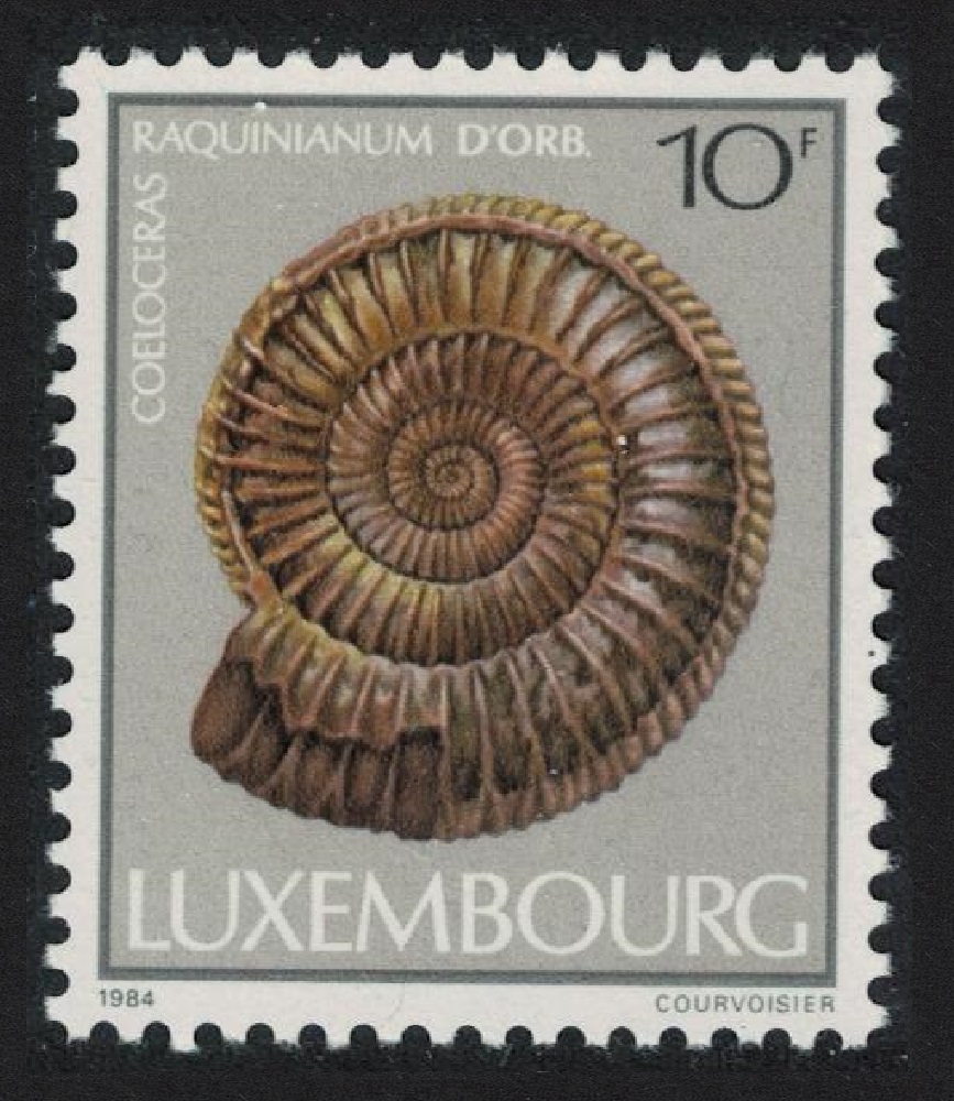 Luxembourg Fossils &#39;Coeloceras raquinianum&#39; ammonite 1984 MNH SG#1140 MI#1109