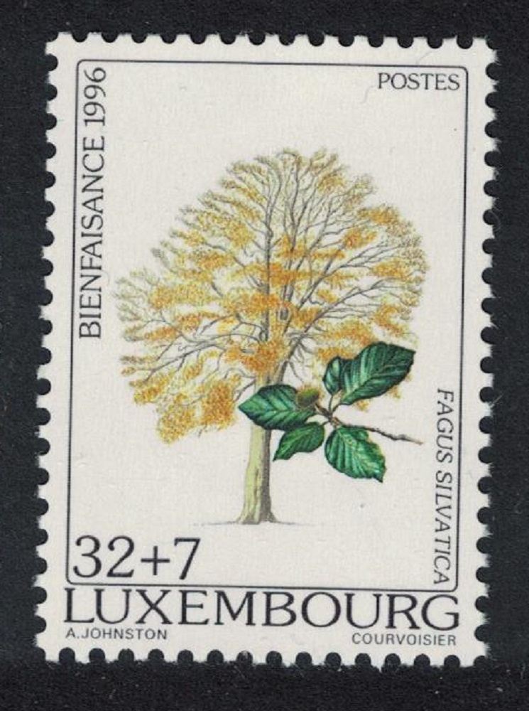 Luxembourg Common beech Tree Key Value 1996 MNH SG#1435 MI#1407