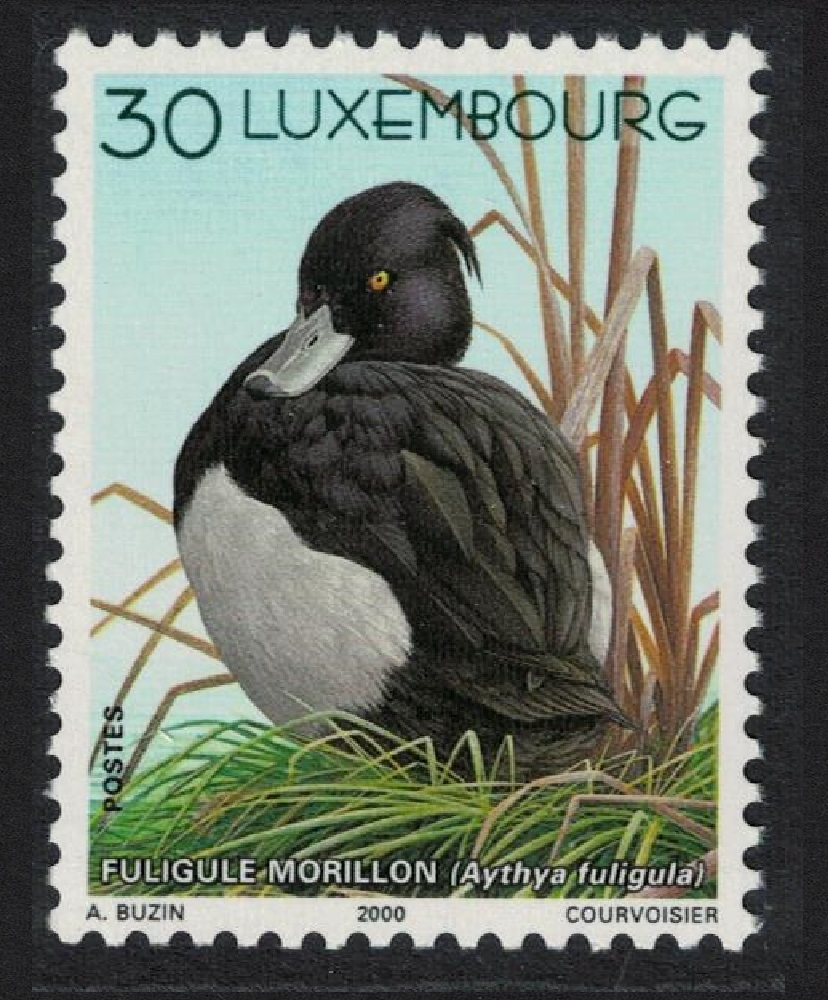 Luxembourg Tufted duck Bird Buzin 2000 MNH SG#1538 MI#1505