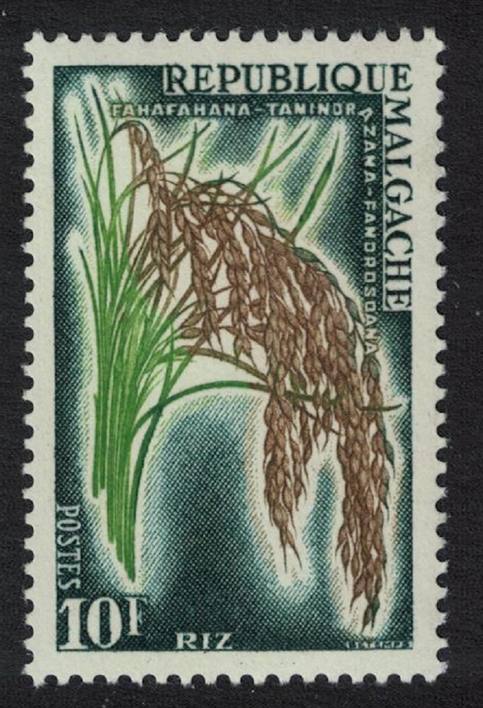 Malagasy Republic Rice Agriculture 1960 MNH SG#15