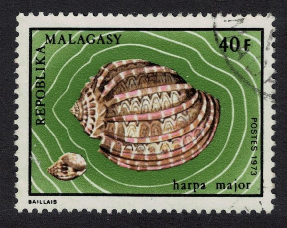 Malagasy Republic Common harp Shell 1973 Canc SG#242 Sc#485