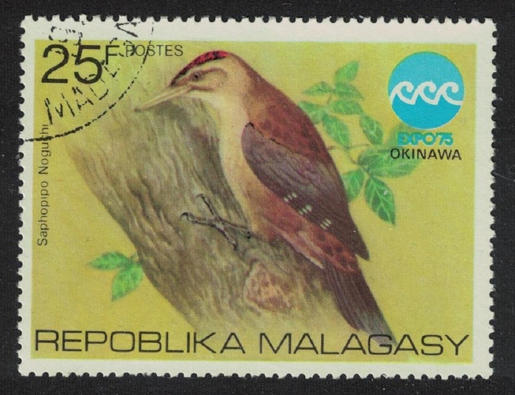 Malagasy Republic Pryer&#39;s Woodpecker Bird 1975 CTO SG#320 Sc#532