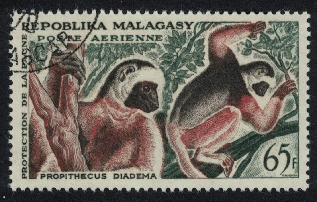 Malagasy Republic Lemurs 65f Key Value 1961 CTO SG#34 MI#472 Sc#C69