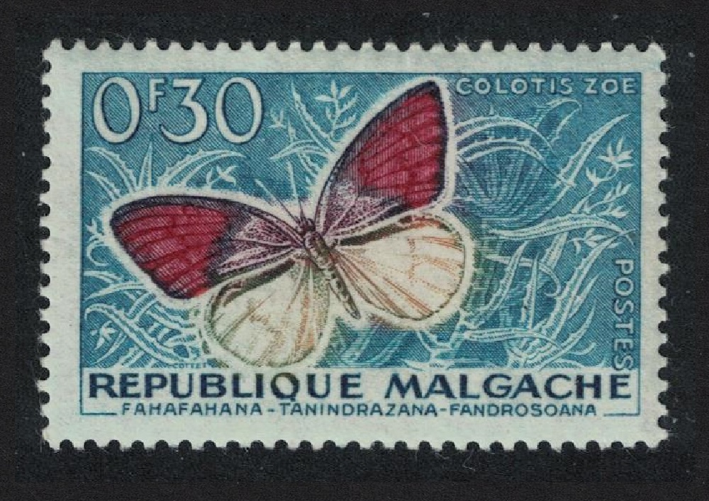 Malagasy Republic Butterfly &#39;Colotis zoe&#39; 1960 MH SG#7 MI#445 Sc#306