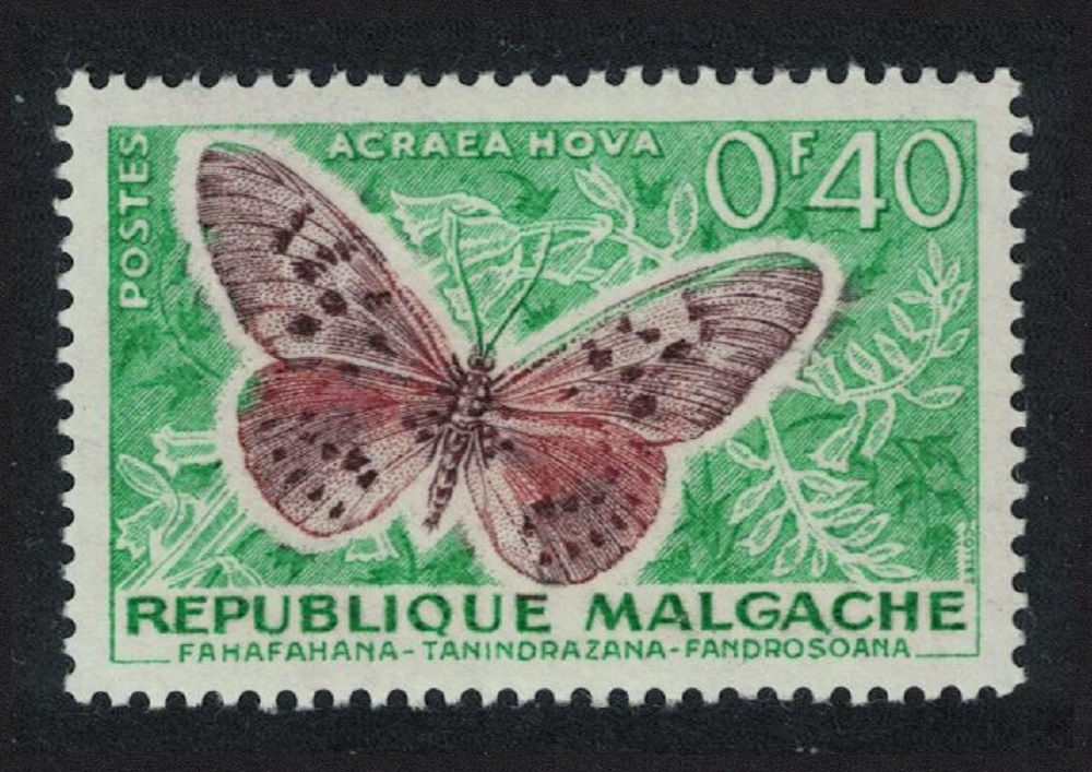 Malagasy Republic Butterfly &#39;Acraena nova&#39; 1960 MH SG#8 MI#446 Sc#307