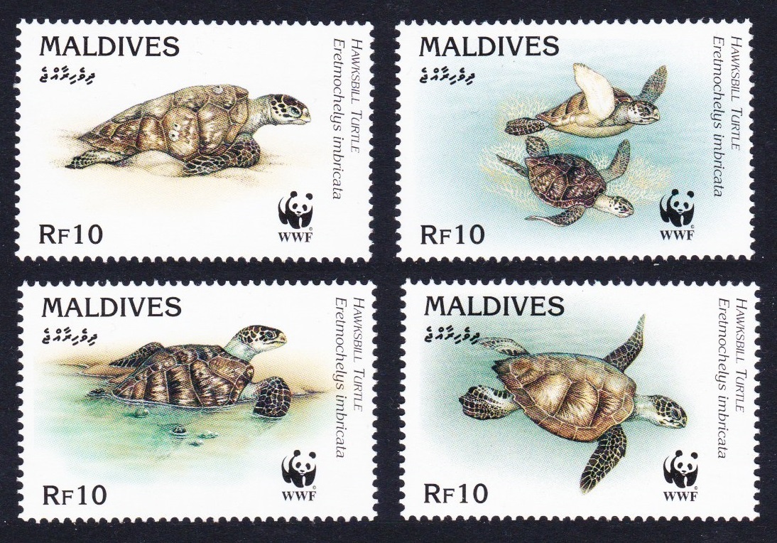 Maldives WWF Hawksbill Turtle 4v 1995 MNH SG#2297-2300 MI#2420-2423 Sc#2092 a-d